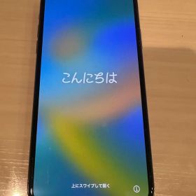 iPhone11 プロマックス proMax 本体