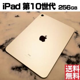 [No.K742] iPad 第10世代 256GB【バッテリー100％】