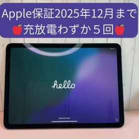 iPad Air (M2) 11インチ Wi-Fi 128GB スペースグレイ