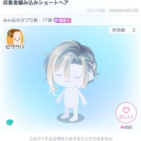 本日限定 収集者編み込みショートヘア 復刻なし 超希少 | ピグパ(ピグパーティ)のアカウントデータ、RMTの販売・買取一覧