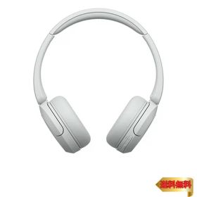 【マラソン最大46倍】ソニー(SONY) ワイヤレスヘッドホン WH-CH520:Bluetooth対応/軽量設計 約147g/専用アプリ対応により好みの音質にカスタ