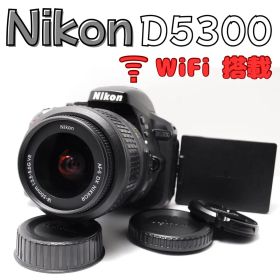 【Wi-Fi搭載】Nikon D5300 標準レンズセット 初心者 美品