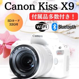 ❤️美品❤️希少カラー❤️Wi-Fi搭載機❤️すぐ使える Canon Kiss X9