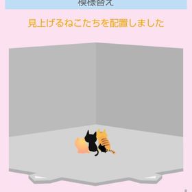 見上げるねこたち | スペースデブリーズのアイテム、RMTの販売・買取一覧