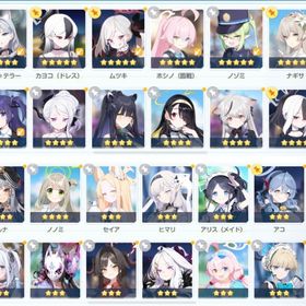 最終値下げ 引退アカウント | ブルアカ(ブルーアーカイブ)のアカウントデータ、RMTの販売・買取一覧