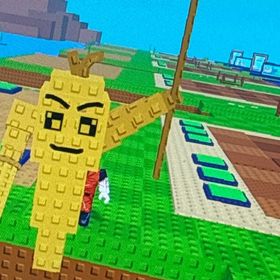 【3kg】金変異ミスターカロット | ロブロックス(ROBLOX)のアカウントデータ、RMTの販売・買取一覧