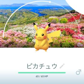 【即対応可能】ポケモンGO 最安スタンプラリー代行！背景ピカチュウ！ | ポケモンGOの代行、RMTの販売・買取一覧