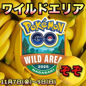【フジフジ様専用】ワイルドエリアの専用です‼🤗✨ | ポケモンGOのアカウントデータ、RMTの販売・買取一覧