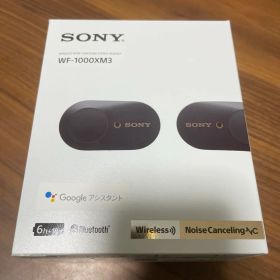SONY ソニー ワイヤレスイヤホン WF-1000XM3 箱あり