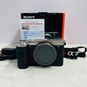 新品級 SONY α7C ILCE-7C ボディ 10月15日購入 ショット数96枚 動作OK WW5795