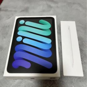 iPad Mini 第7世代 Apple Pencil (USB-C) セット