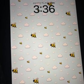 iPad Pro11インチ 256GB 第四世代 2022年WiFiモデル