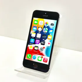 iPhone SE 第1世代 T016475