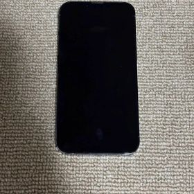 Apple iPhone 13 Pro SIMフリー