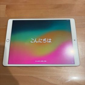 iPad pro 10.5インチ 64GB apple pencil(第1世代)