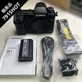 6724【ショット数791枚‼︎極美品】パナソニック LUMIX DC-S1ボディ