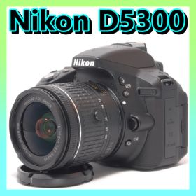 ⭐️Wi-Fi搭載＆高画質⭐️Nikon D5300 ニコン デジタル一眼レフ
