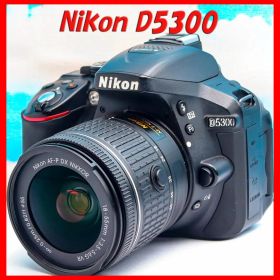 ニコン Nikon D5300⭐️WIFI機能搭載！⭐️一眼レフ⭐️おまけ多数
