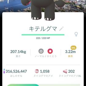 XXL通常色キテルグマ、クチート、ヘルガー長崎背景 | ポケモンGOのアカウントデータ、RMTの販売・買取一覧