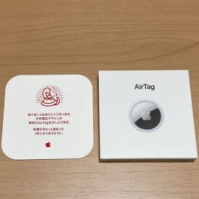 Apple AirTag エアタグ 本体 巳