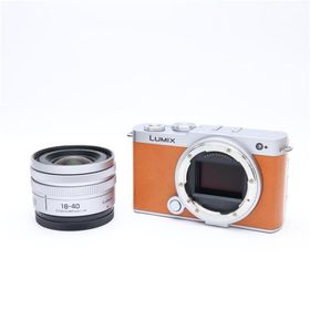 《美品》Panasonic LUMIX S9 広角ズームレンズキット DC-S9N-D