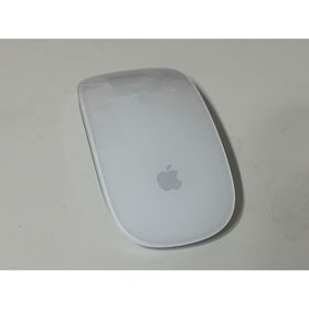 アップル(Apple)のAPPLE MAGIC MOUSE 2(その他)