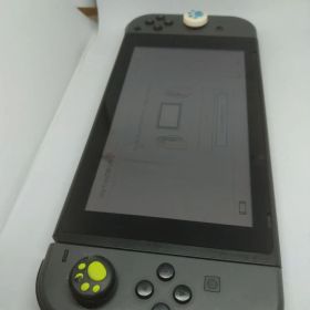 Switch本体グレー、携帯ゲームとしての使用以外はジャンク品