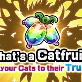 🔰本日限定特価🔰 | にゃんこ大戦争のアカウントデータ、RMTの販売・買取一覧