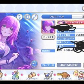 引退品 所持率97.5% 戦力3300万↑ プリンセスナイトRANK350↑ | プリンセスコネクト(プリコネR)のアカウントデータ、RMTの販売・買取一覧