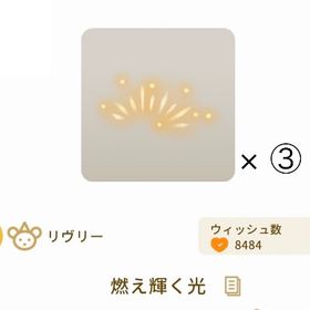 【バザール】燃え輝く光 × 3 | リヴリーアイランドのアイテム、RMTの販売・買取一覧