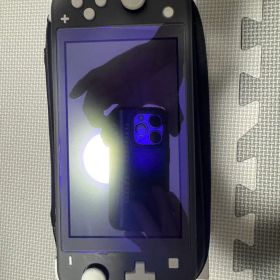 Nintendo Switch Lite グレー 充電コード付き