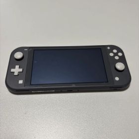 Nintendo Switch Lite グレー本体 充電器付き