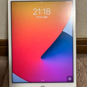 iPad mini 4 16GB