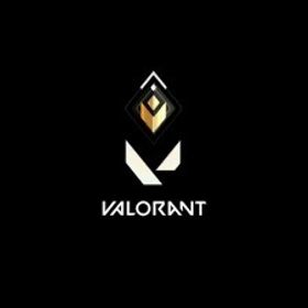 ⛄【最安値！】VALORANT代行実績作り格安で行います！！⛄ | VALORANT(ヴァロラント)の代行、RMTの販売・買取一覧