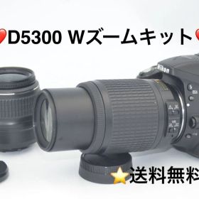 Nikon D5300 Wズームキット