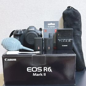 Canon EOS R6 mark2 ミラーレス カメラ セット バラ売り⭕️