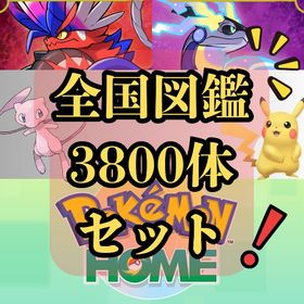 ⭐️全国図鑑・各ソフト図鑑⭐️ 色違い・約3800体 | ポケモンSV(スカーレットバイオレット)のアカウントデータ、RMTの販売・買取一覧