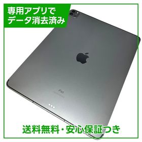 【バッテリー91%】iPadPro第5世代12.9インチ セルラーモデル 256GB グレイ au版