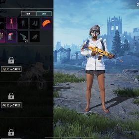 コレクションレベル低いですがre2と白BAPEあります。| PUBG MOBILEのアカウントデータ、RMTの販売・買取一覧