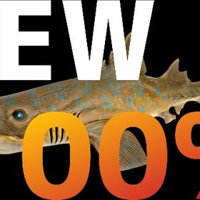 RARE SUPPORT ヘリコプリオン100% | ARK Survival Evolvedのアカウントデータ、RMTの販売・買取一覧