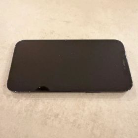 Apple iPhone 12pro 256GB ブルー