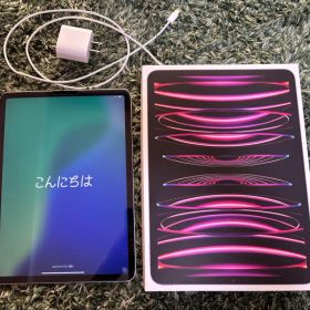 C*-様 iPad Pro 11インチ 256GB wifi モデル スペースグ