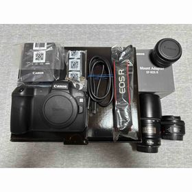 キヤノン(Canon)のCanon ミラーレス一眼 EOS R ボディ(ミラーレス一眼)