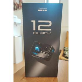 ゴープロ(GoPro)の【新品未開封】GoPro CHDHX-121-FW(ビデオカメラ)