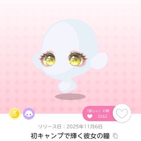 初キャンプで輝く彼女の瞳 双子分 | ポケコロツイン(ポケツイ)のアカウントデータ、RMTの販売・買取一覧