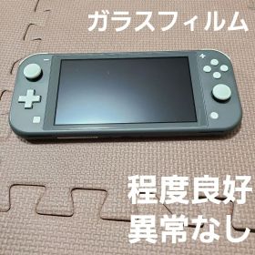 Nintendo Switch Lite グレー 1799