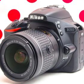 美品 ニコン Nikon D5500❤Wi-Fi転送機能付❤超高画質＆高性能