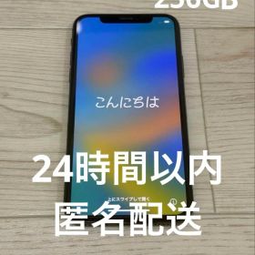 Apple iPhone X スペースグレー 本体