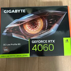 RTX 4060 OC Low Profile 8GB