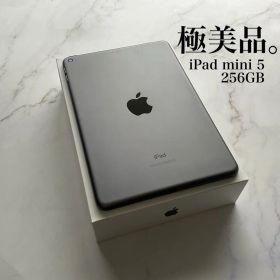 【極美品】Apple iPad mini 第5世代 Wi-Fi 256GB
